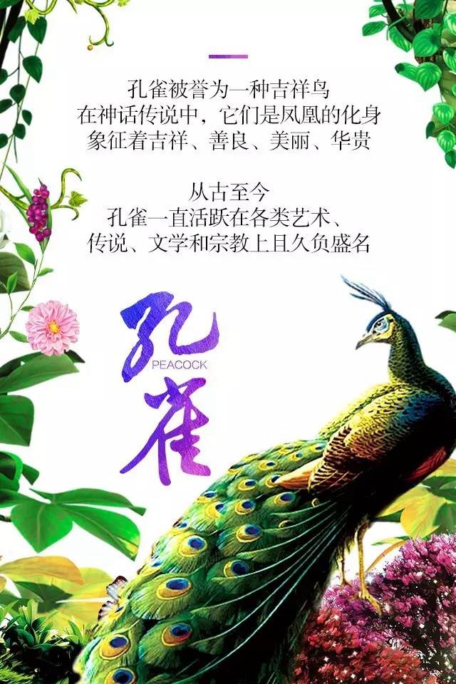 【915-918邵陽秋季車展】鳳臨枝頭，雀雀雀雀雀實(shí)驚艷！