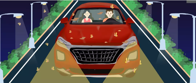 安全清除車身飛蟲，僅需十分鐘