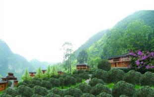 旅游節(jié)慶與會展活動策劃 驅(qū)動目的地魅力的專業(yè)引擎